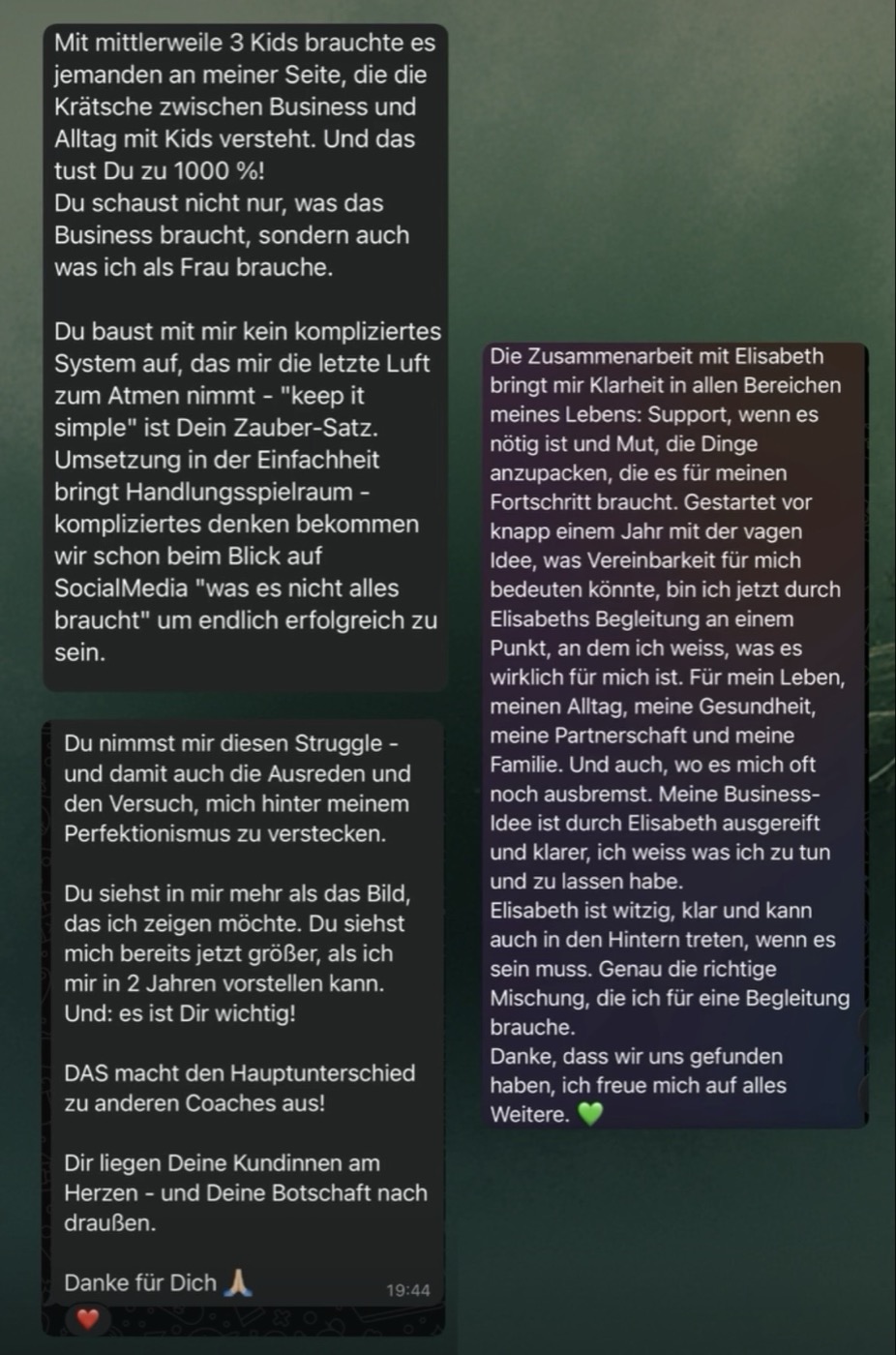 Screenshot der Original-Nachrichten einer Kundin über die Zusammenarbeit mit Elisabeth Zollner